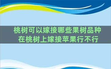 桃树可以嫁接哪些果树品种 在桃树上嫁接苹果行不行